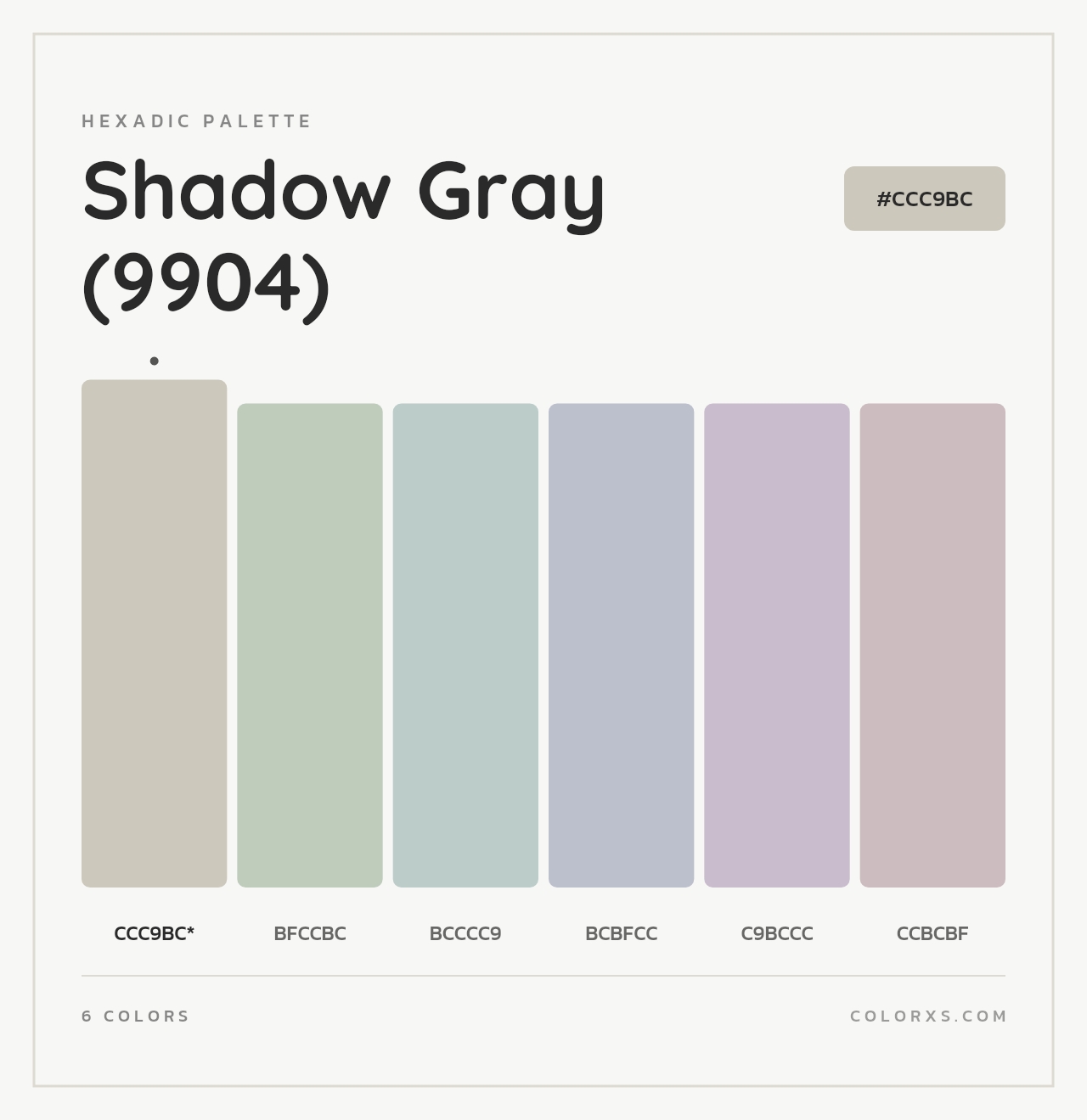 Shadow Gray (9904) - Hexadic Color Palette