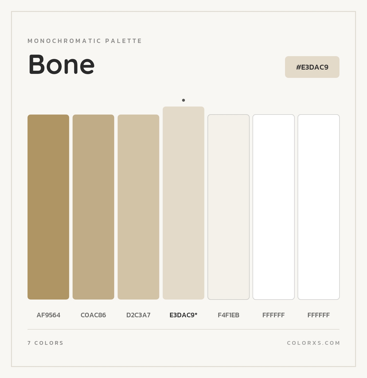 Bone - Monochromatic Color Palette