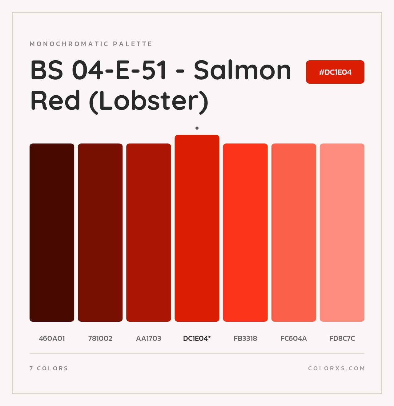 BS 04-E-51 - Salmon Red (Lobster) - Monochromatic Color Palette