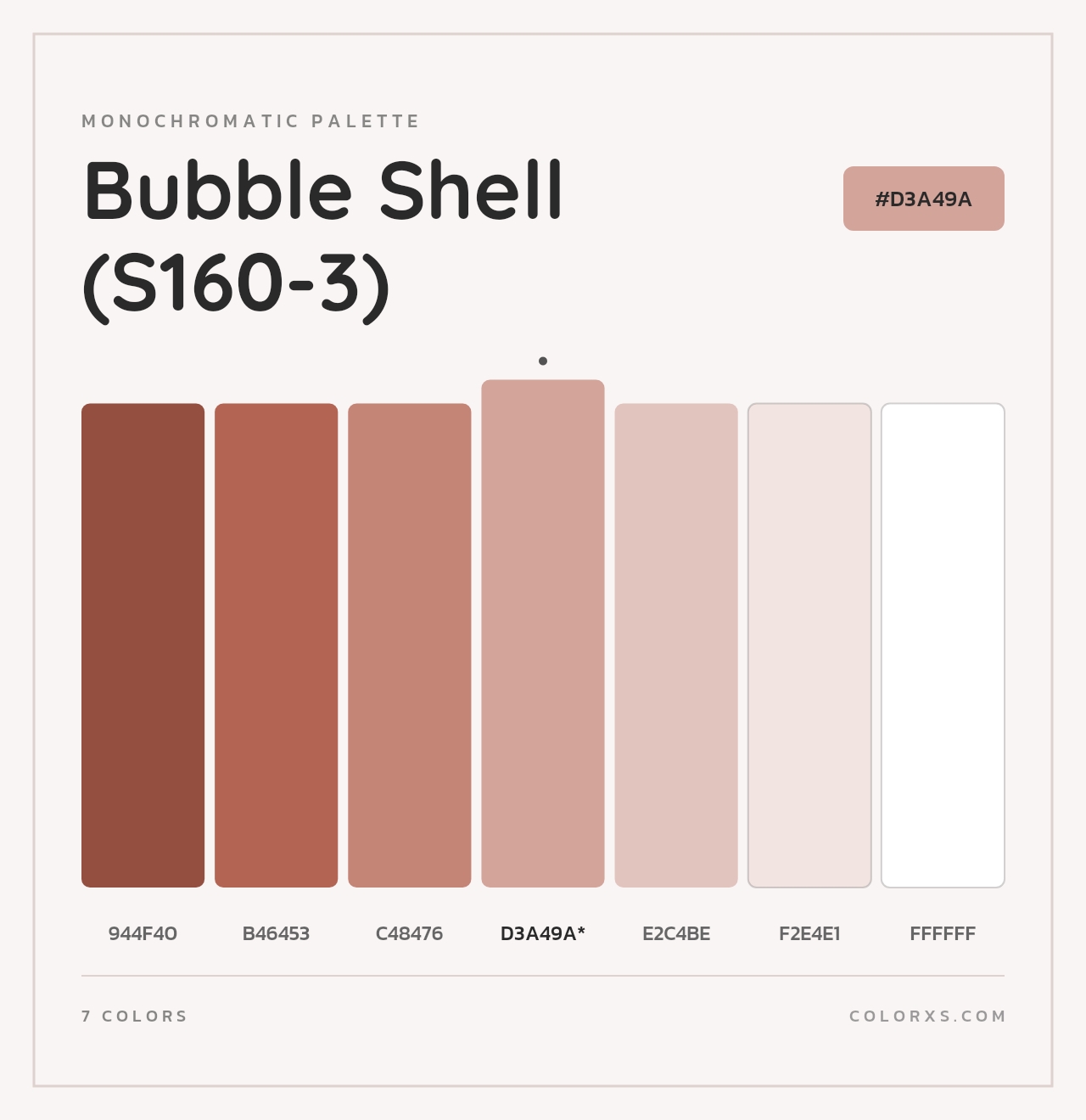Bubble Shell (S160-3) - Monochromatic Color Palette