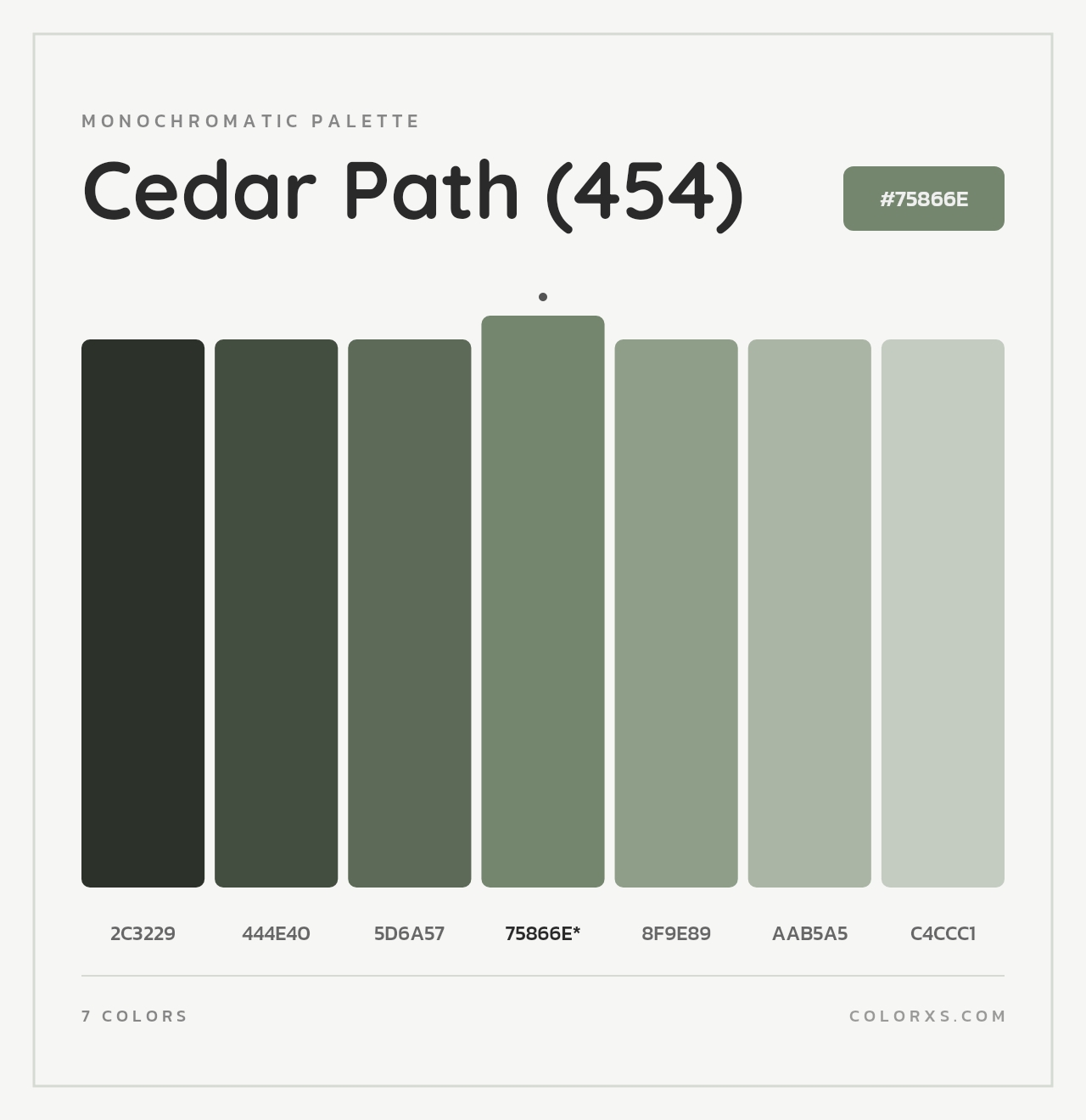 Cedar Path (454) - Monochromatic Color Palette