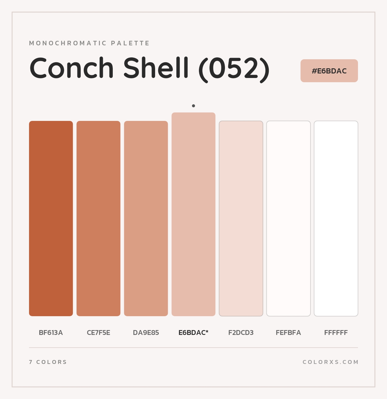 Conch Shell (052) - Monochromatic Color Palette