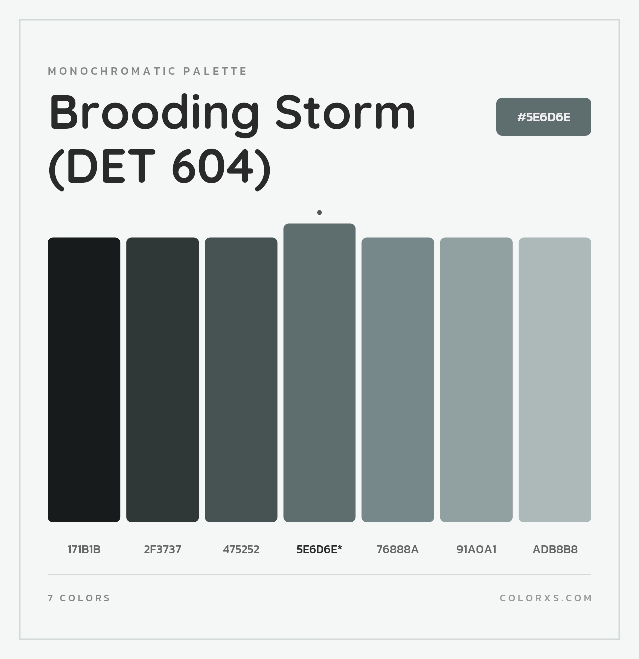 Brooding Storm (DET 604) - Monochromatic Color Palette