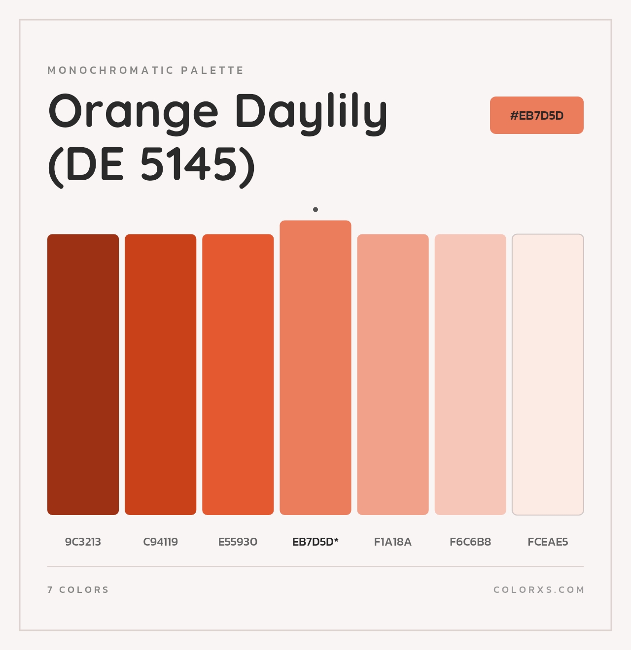 Orange Daylily (DE 5145) - Monochromatic Color Palette