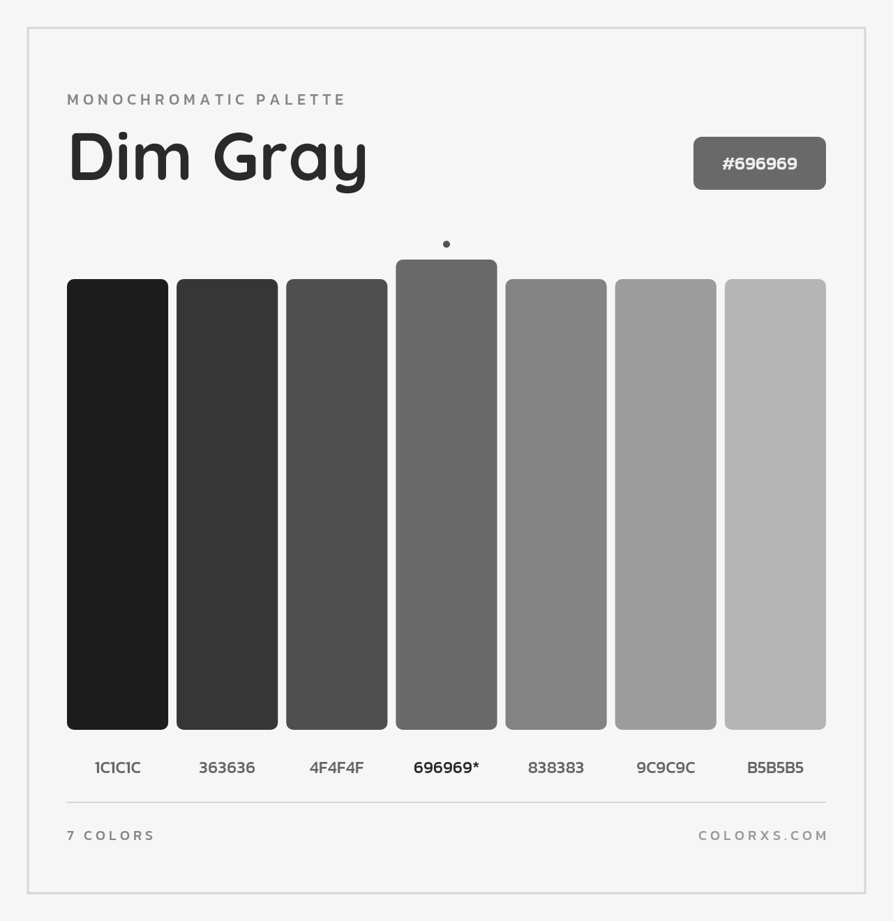 Dim Gray - Monochromatic Color Palette