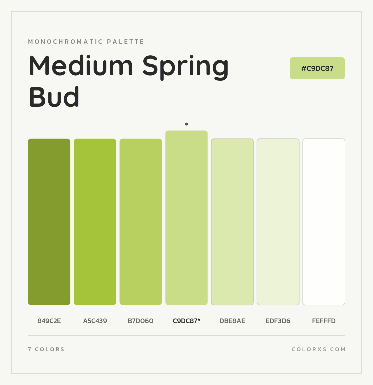 Medium Spring Bud - Monochromatic Color Palette