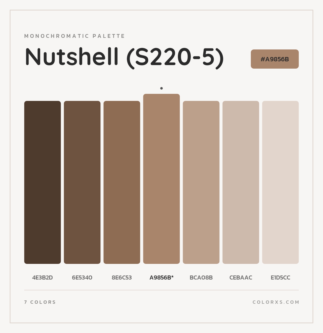Nutshell (S220-5) - Monochromatic Color Palette