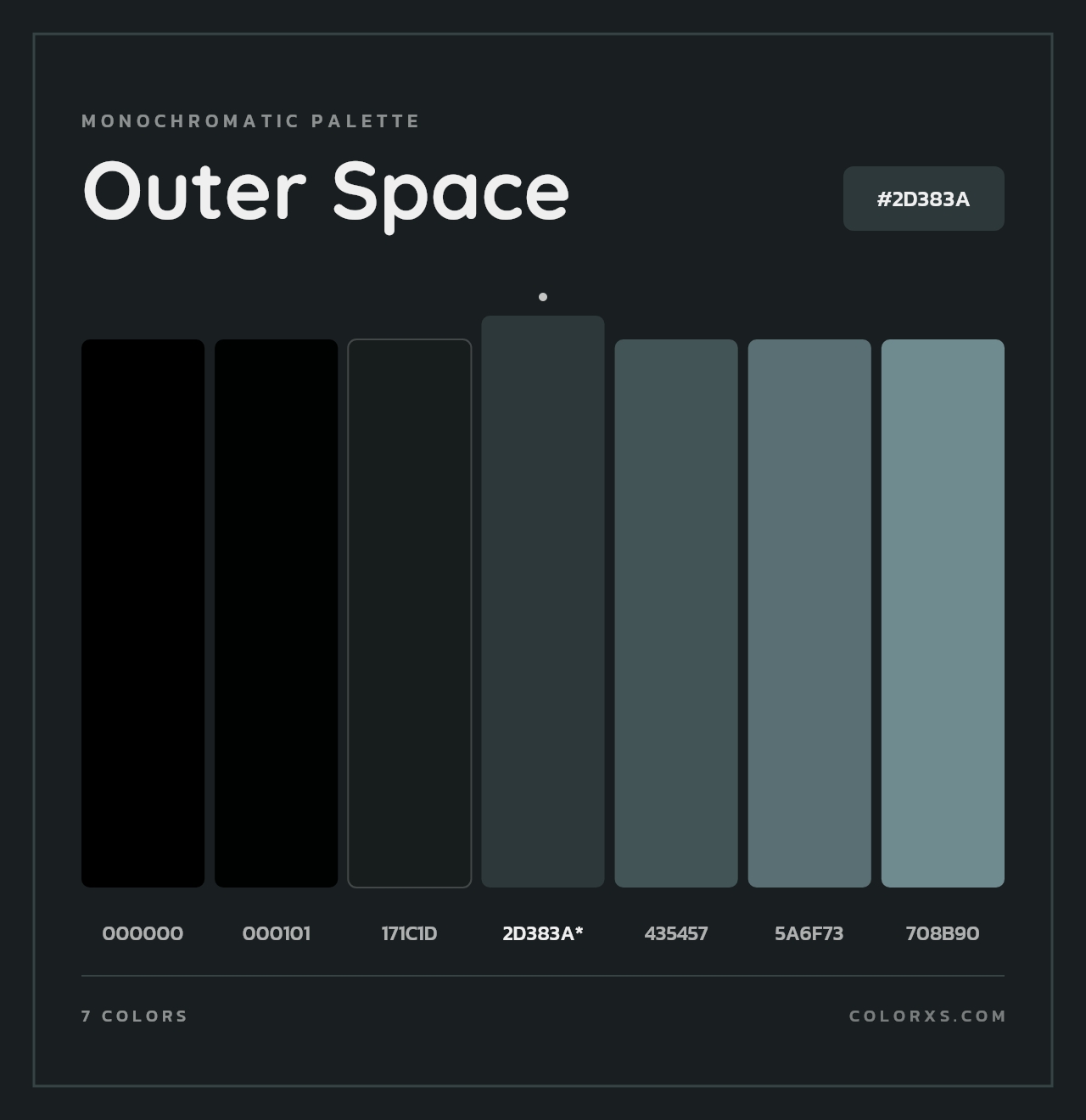 Outer Space - Monochromatic Color Palette