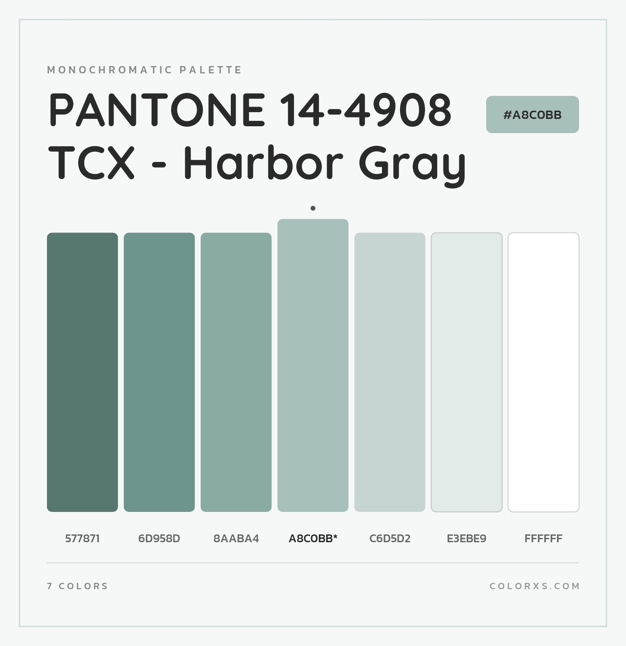 PANTONE 14-4908 TCX - Harbor Gray - Monochromatic Color Palette