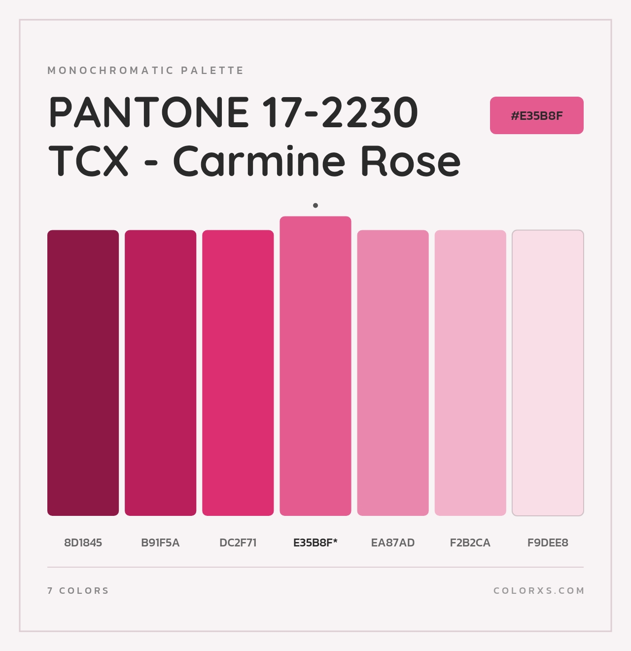 PANTONE 17-2230 TCX - Carmine Rose - Monochromatic Color Palette