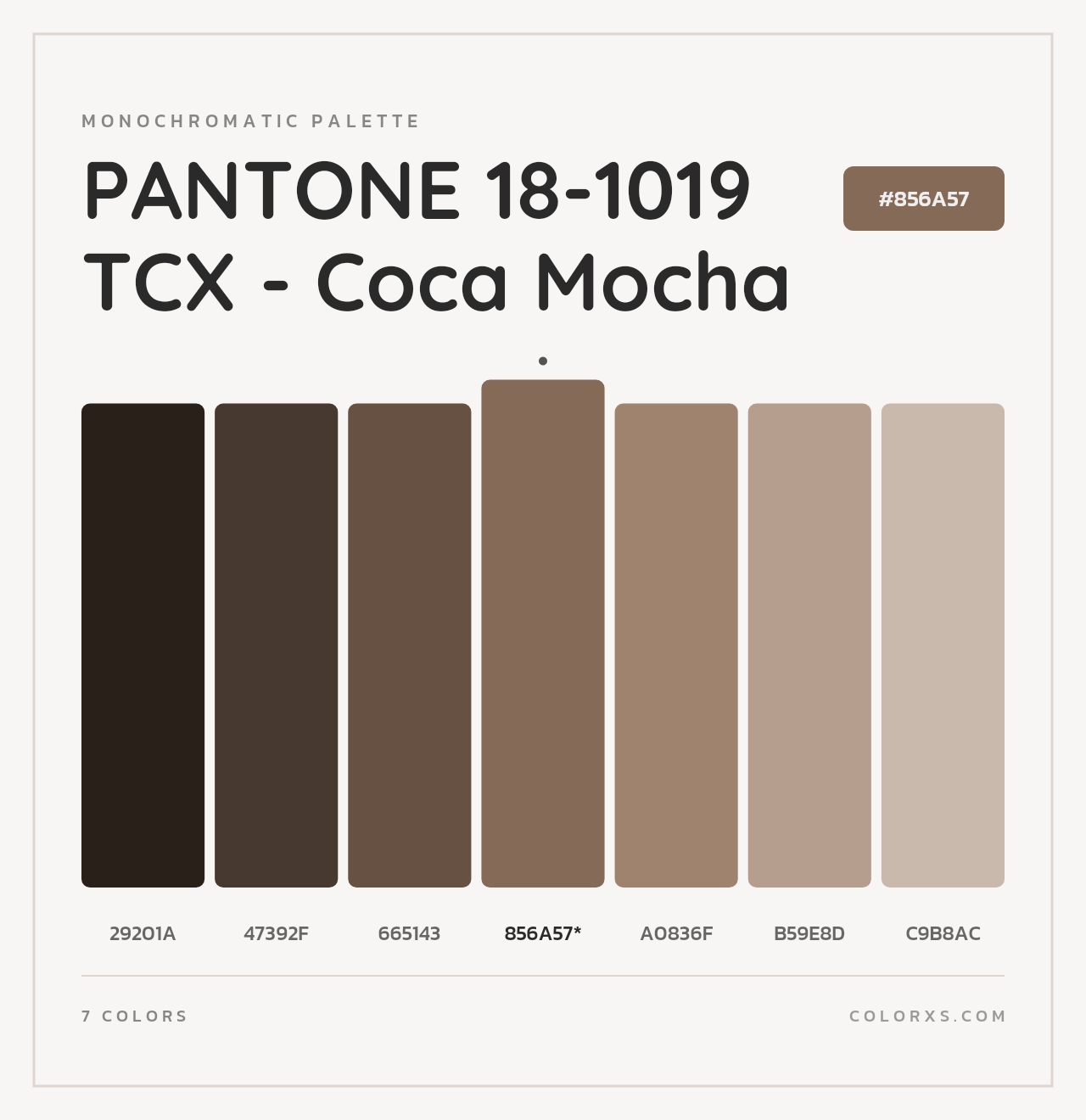 PANTONE 18-1019 TCX - Coca Mocha - Monochromatic Color Palette