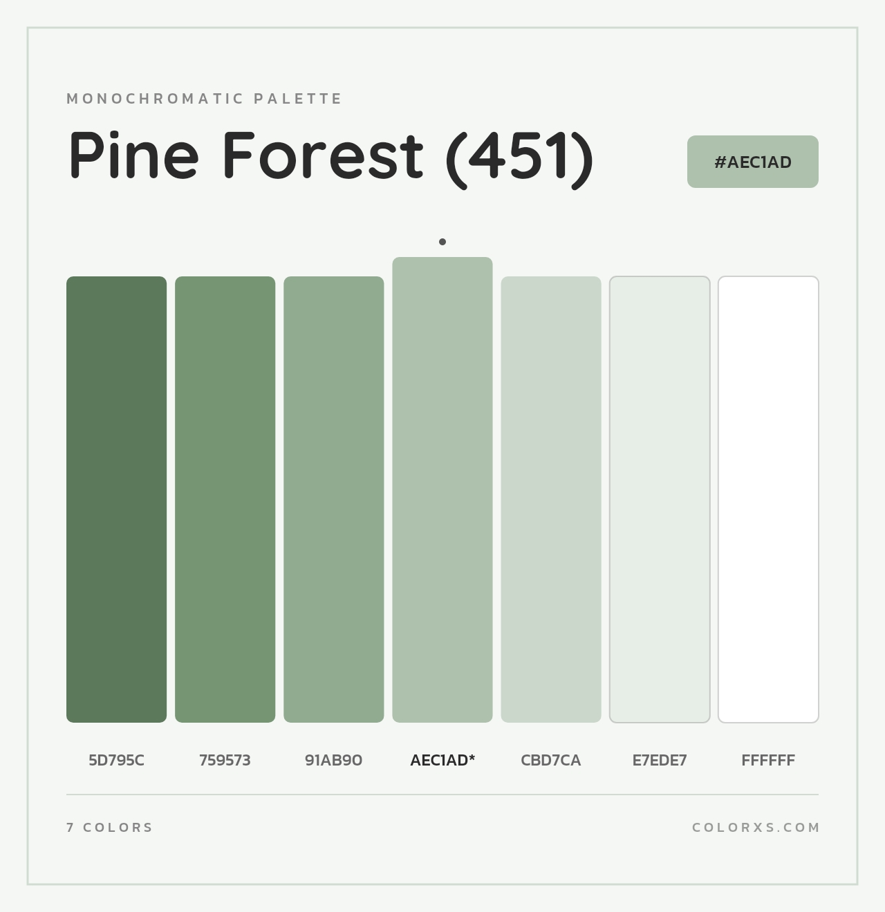 Pine Forest (451) - Monochromatic Color Palette