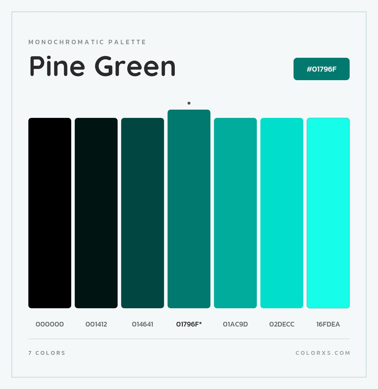 Pine Green - Monochromatic Color Palette
