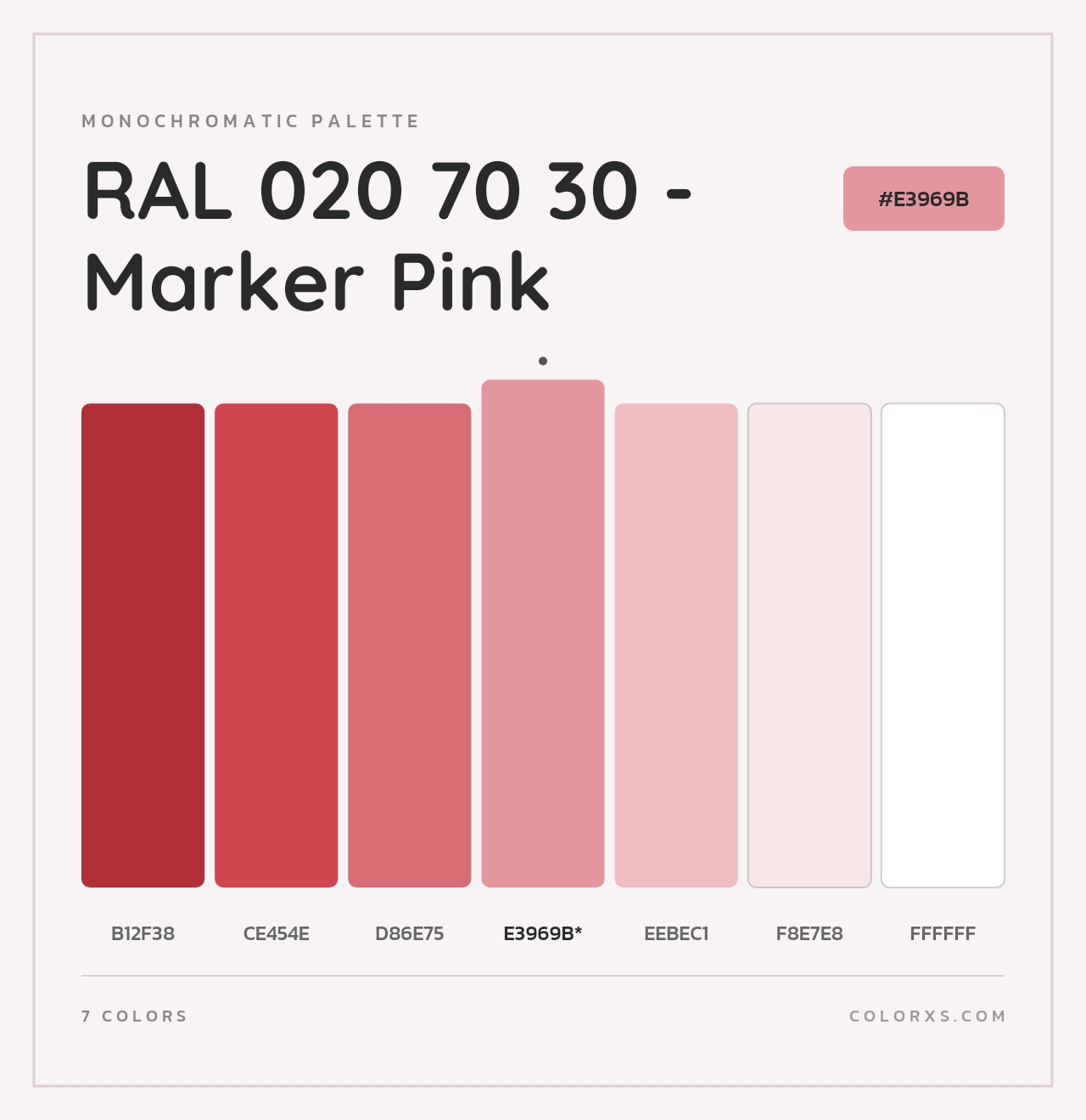 RAL 020 70 30 - Marker Pink - Monochromatic Color Palette