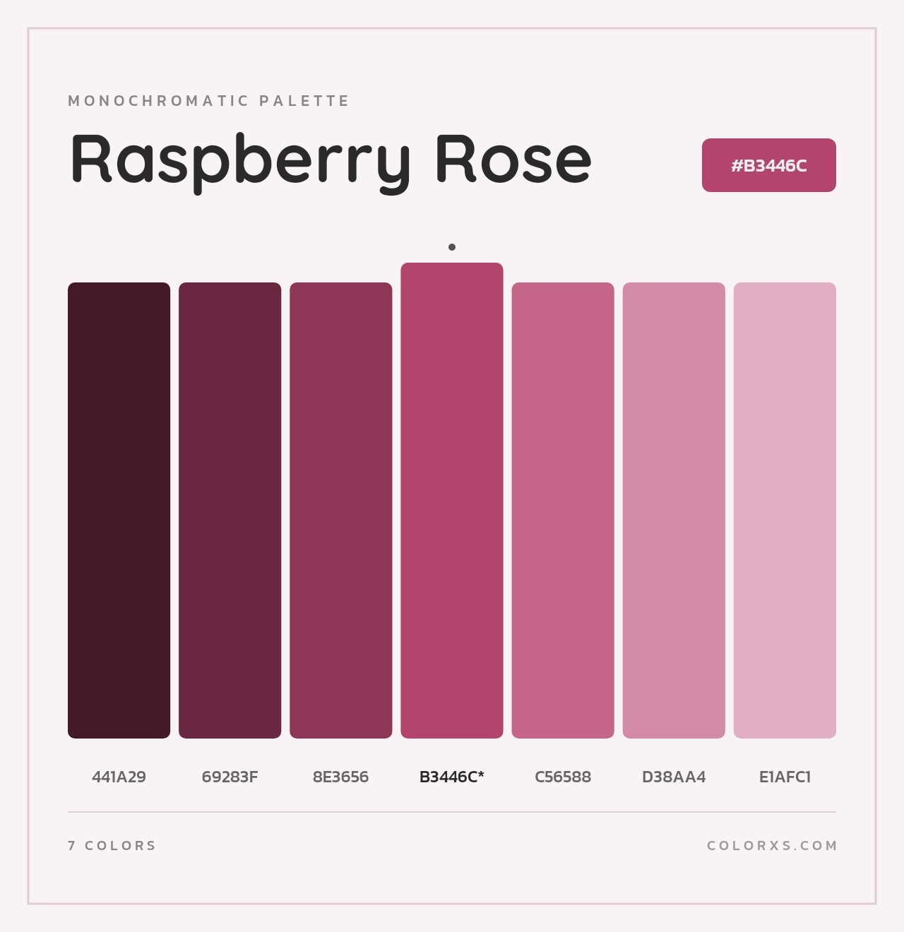 Raspberry Rose - Monochromatic Color Palette