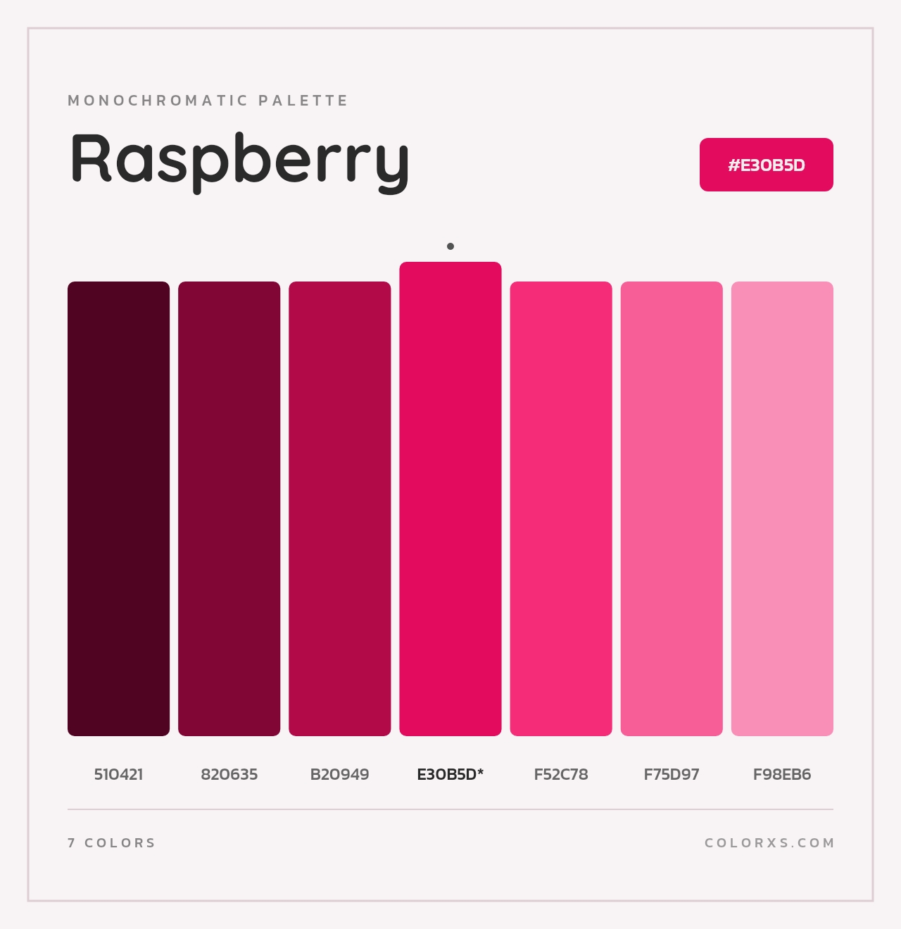 Raspberry - Monochromatic Color Palette