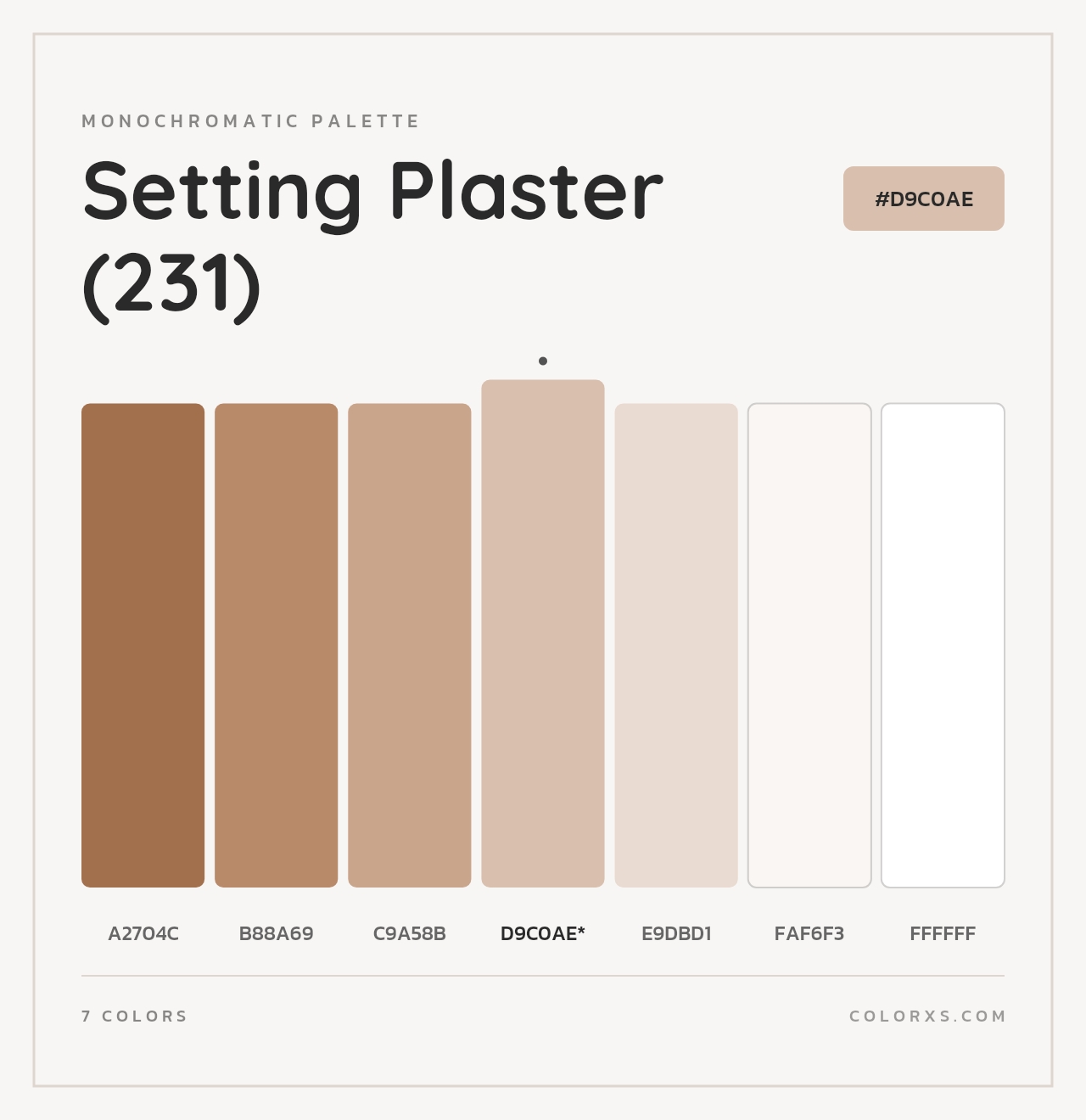 Setting Plaster (231) - Monochromatic Color Palette