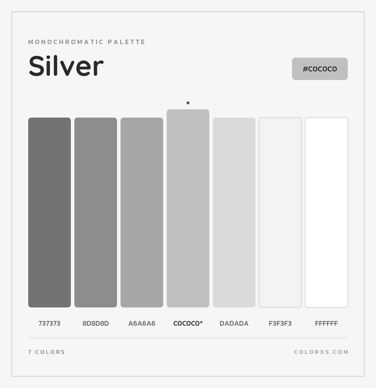 Silver - Monochromatic Color Palette
