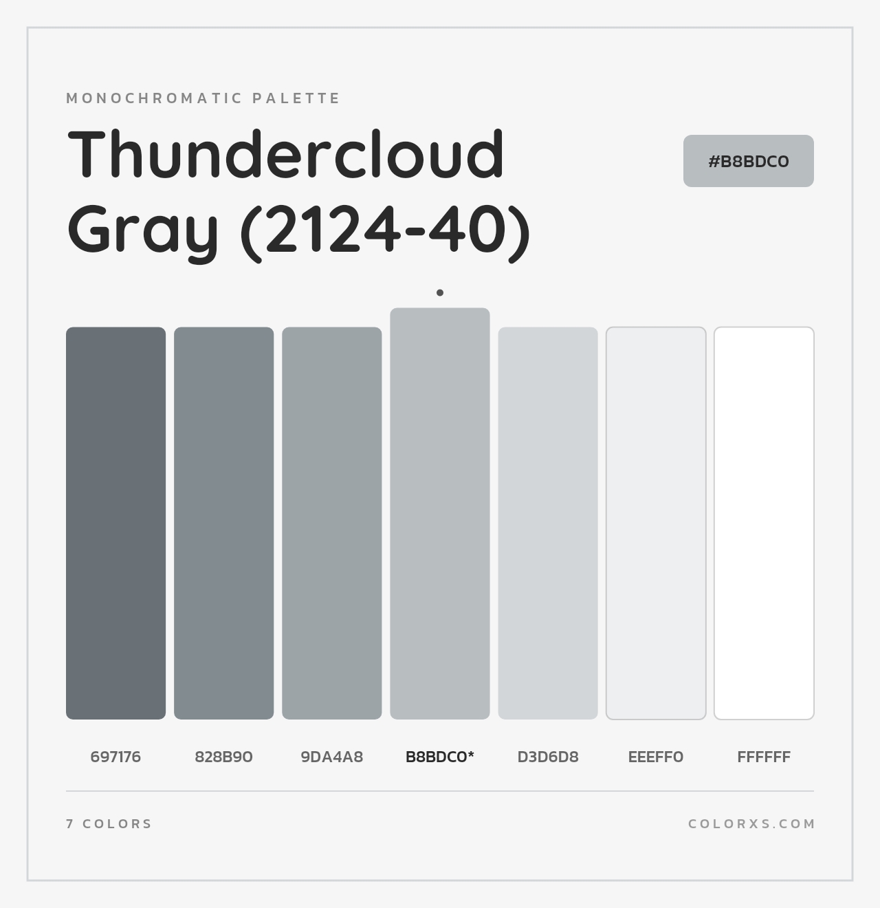 Thundercloud Gray (2124-40) - Monochromatic Color Palette