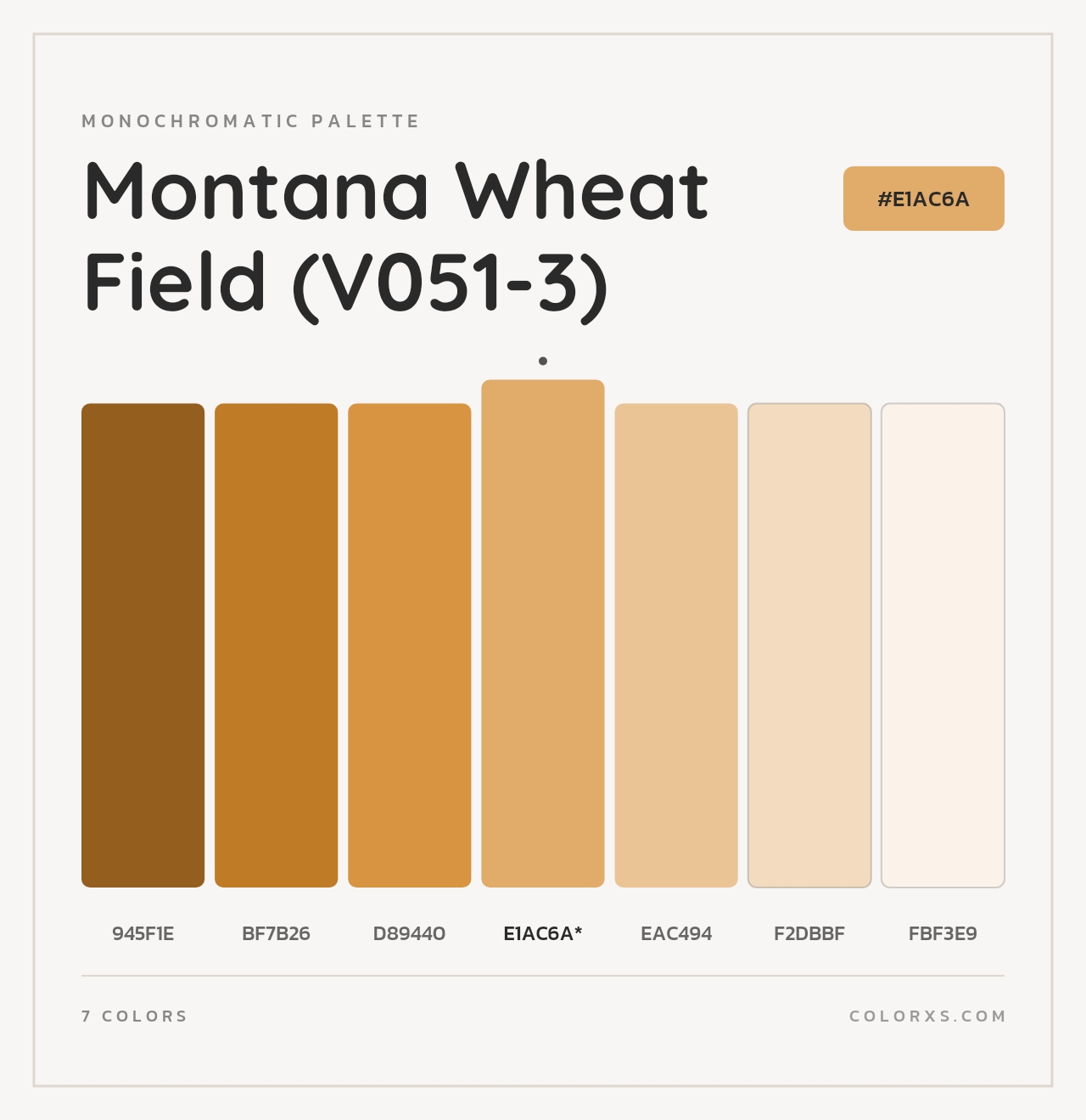 Montana Wheat Field (V051-3) - Monochromatic Color Palette