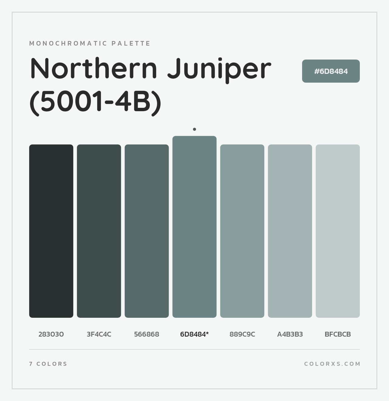 Northern Juniper (5001-4B) - Monochromatic Color Palette