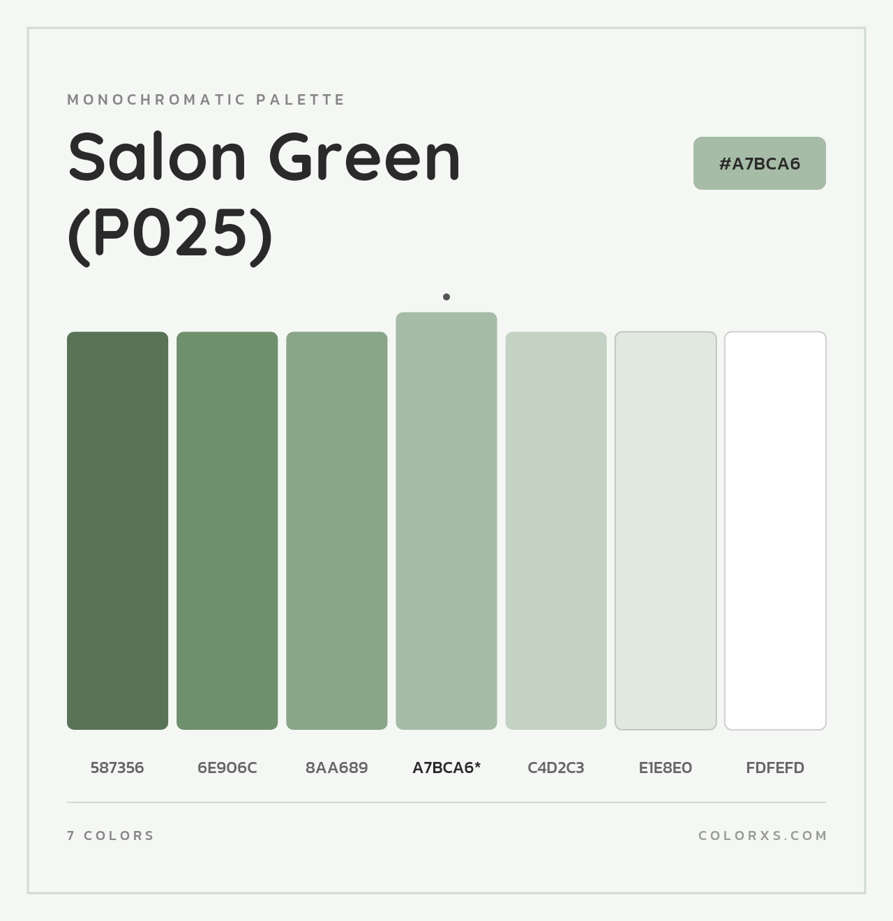 Salon Green (P025) - Monochromatic Color Palette