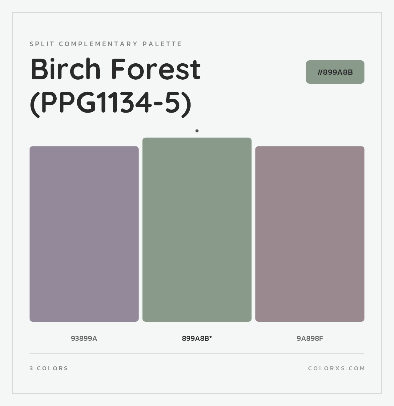 Birch Forest (PPG1134-5) - Split-Complementary Color Palette
