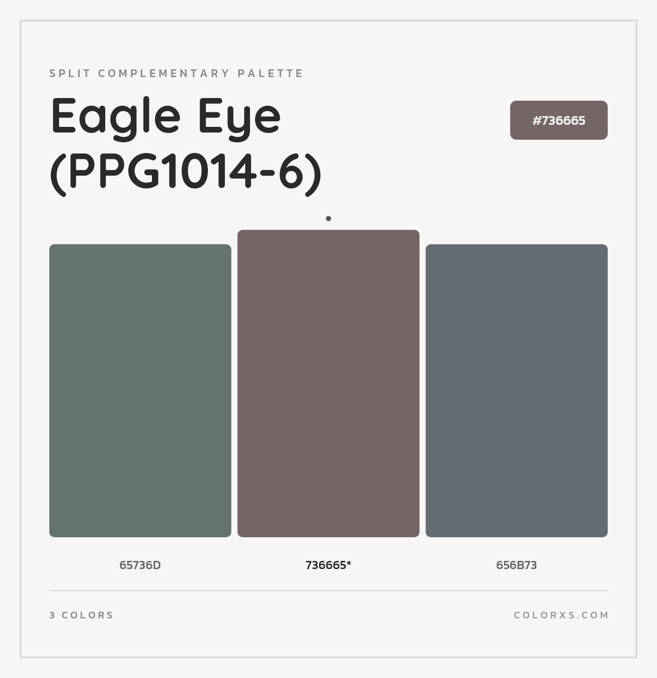 Eagle Eye (PPG1014-6) - Split-Complementary Color Palette