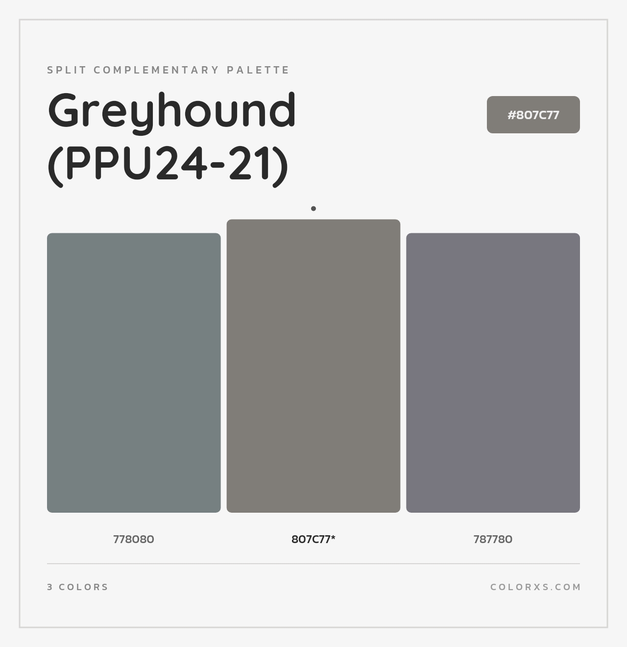 Greyhound (PPU24-21) - Split-Complementary Color Palette