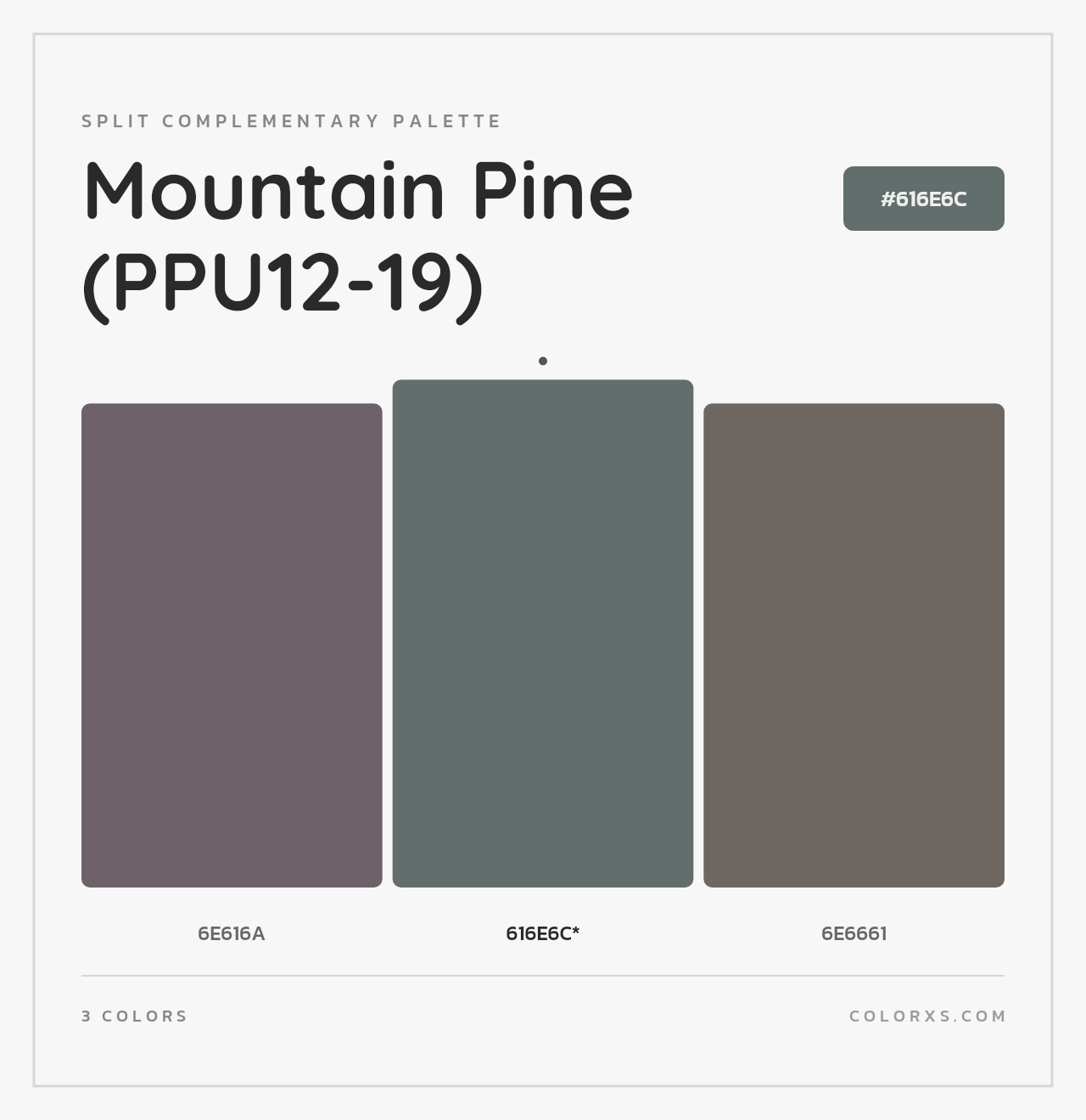 Mountain Pine (PPU12-19) - Split-Complementary Color Palette