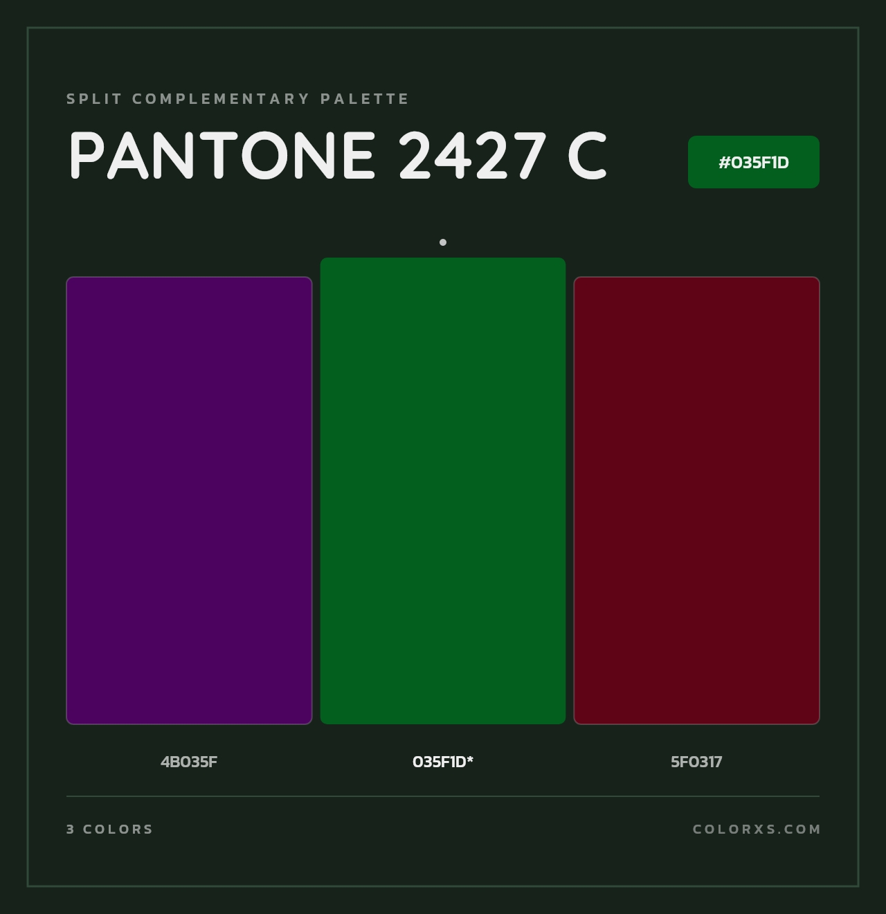 PANTONE 2427 C - Split-Complementary Color Palette