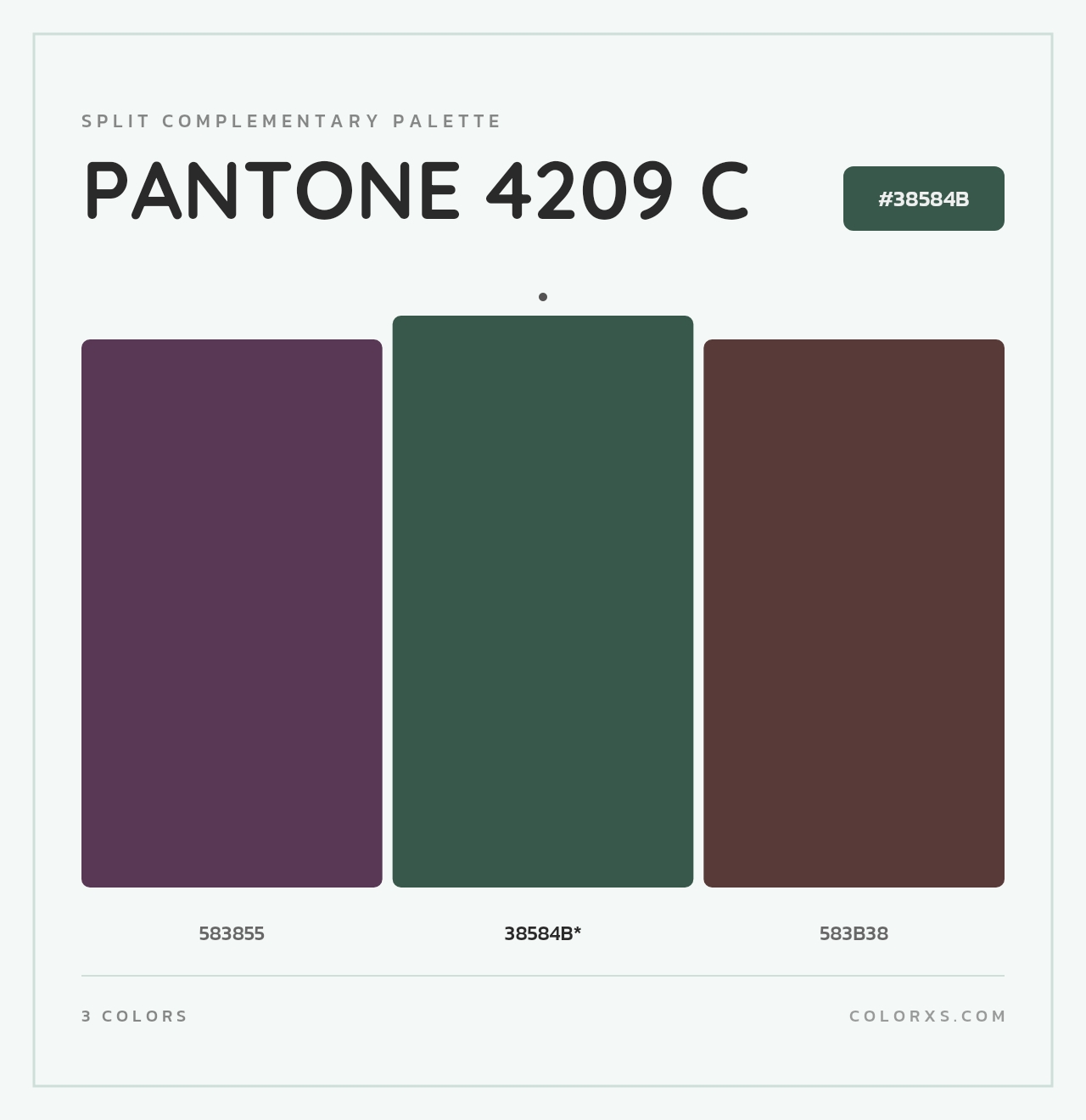 PANTONE 4209 C - Split-Complementary Color Palette