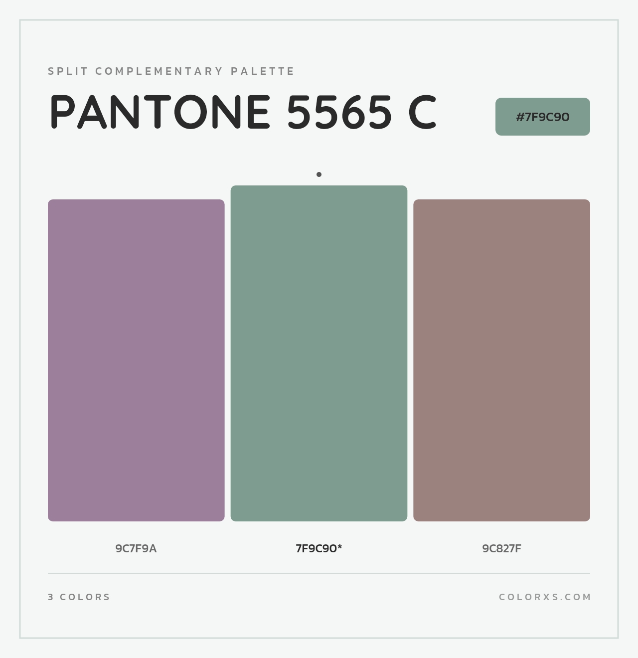 PANTONE 5565 C - Split-Complementary Color Palette