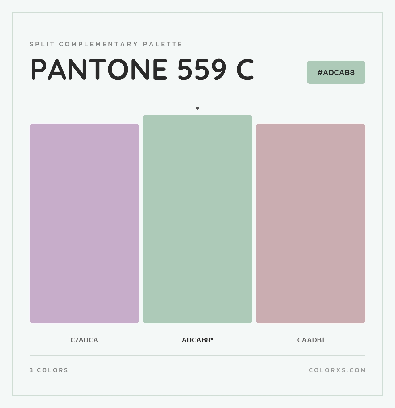 PANTONE 559 C - Split-Complementary Color Palette