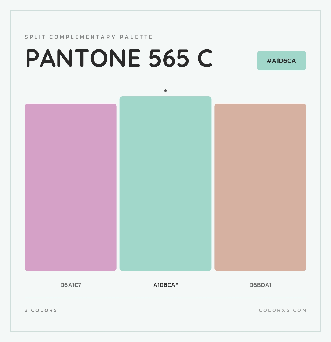 PANTONE 565 C - Split-Complementary Color Palette
