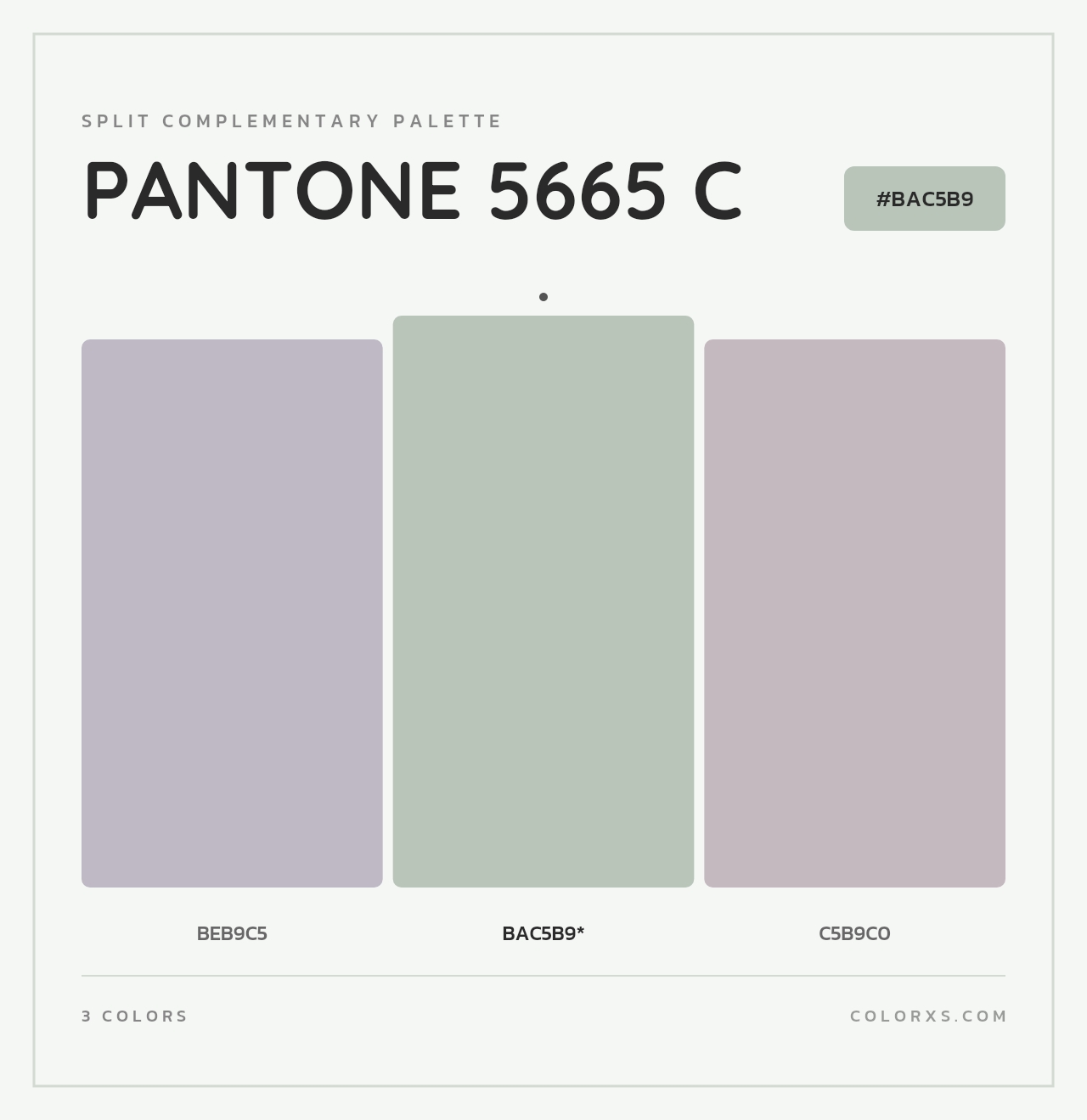 PANTONE 5665 C - Split-Complementary Color Palette