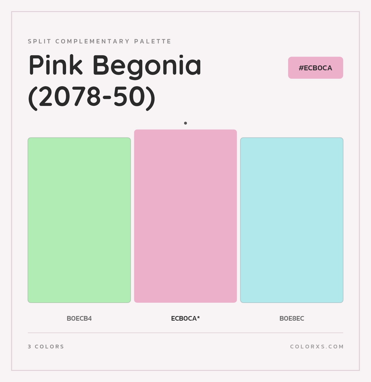 Pink Begonia (2078-50) - Split-Complementary Color Palette