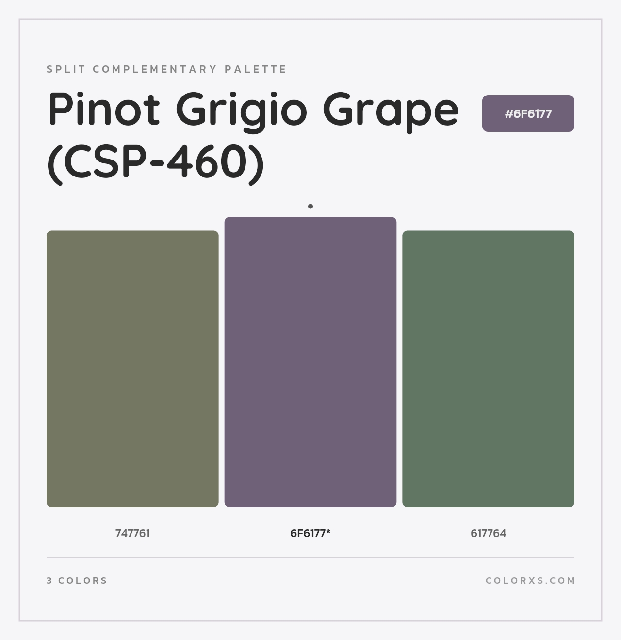 Pinot Grigio Grape (CSP-460) - Split-Complementary Color Palette