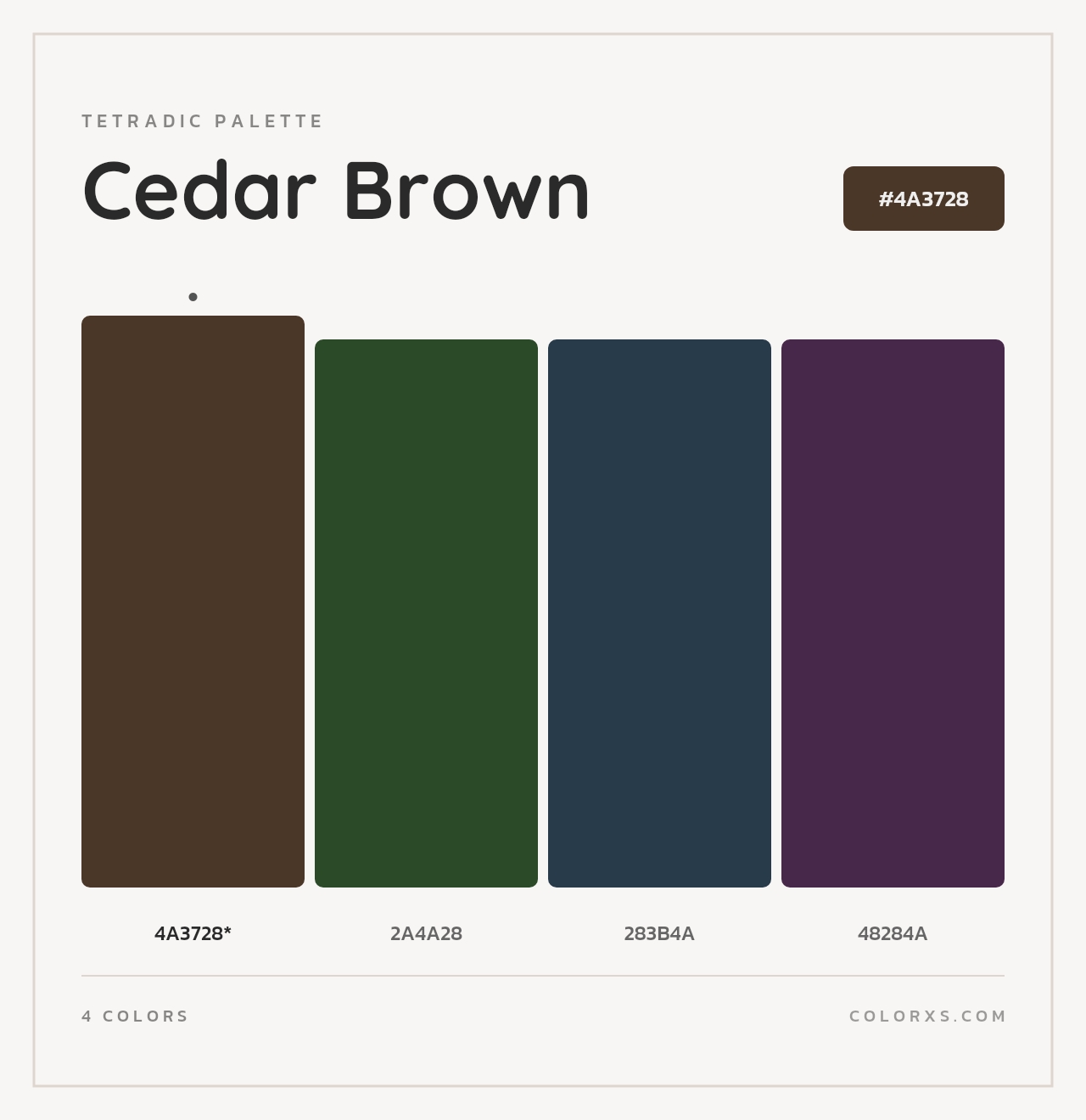 Cedar Brown - Tetradic Color Palette