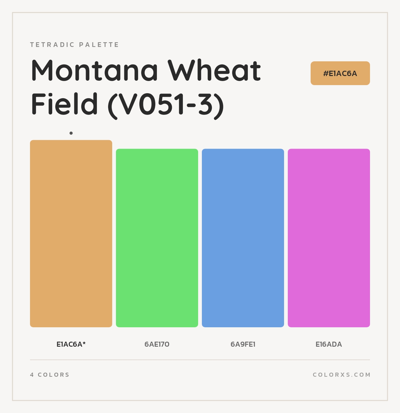 Montana Wheat Field (V051-3) - Tetradic Color Palette
