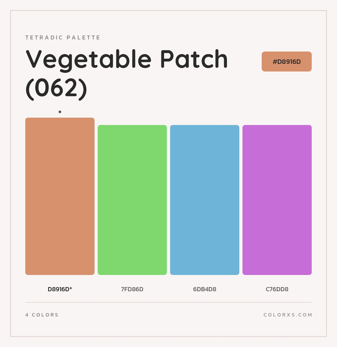 Vegetable Patch (062) - Tetradic Color Palette