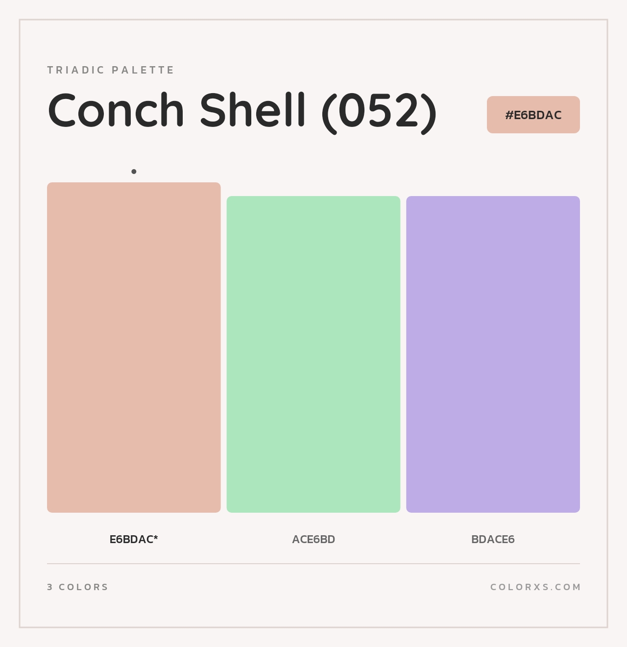 Conch Shell (052) - Triadic Color Palette