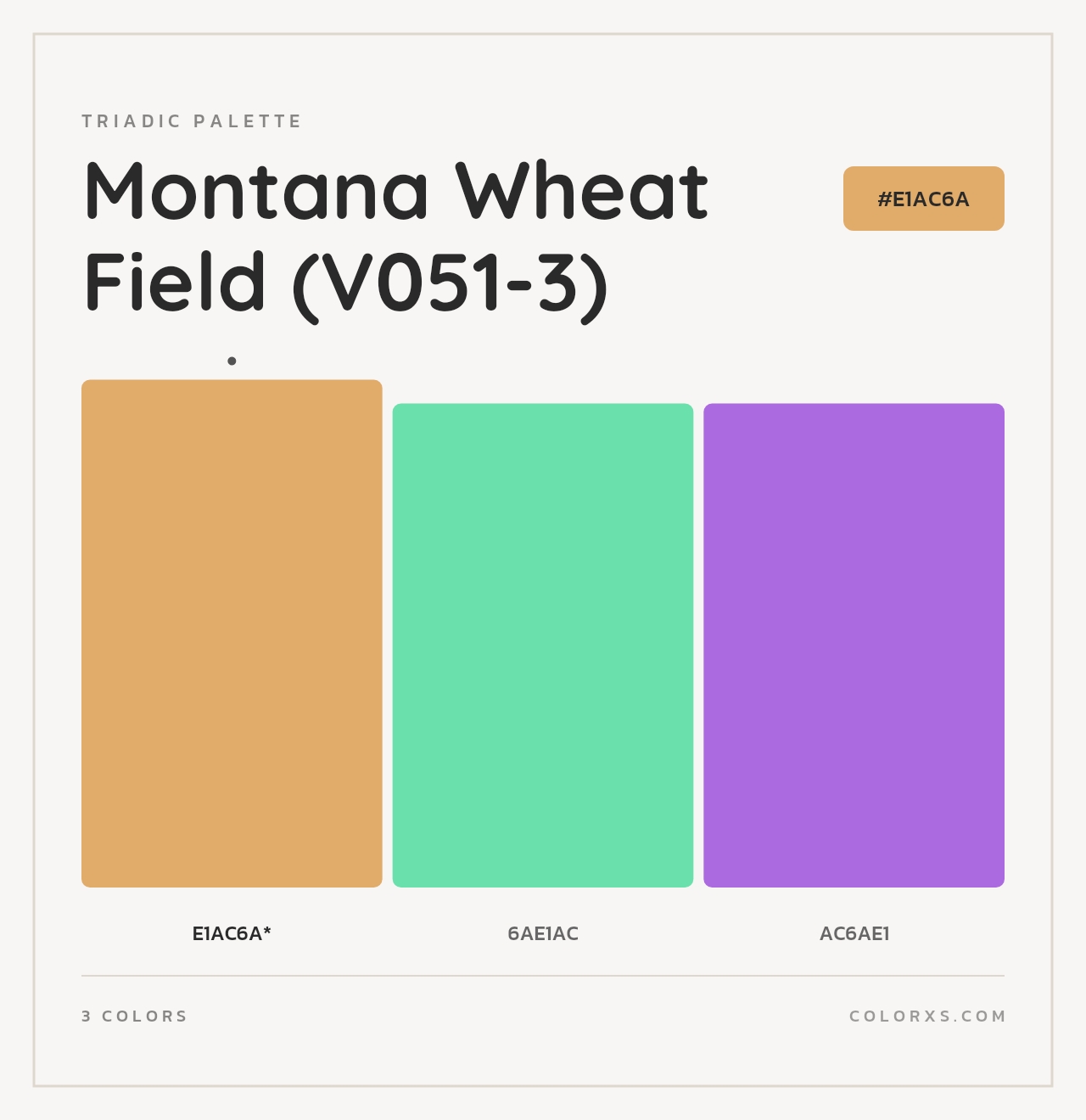 Montana Wheat Field (V051-3) - Triadic Color Palette