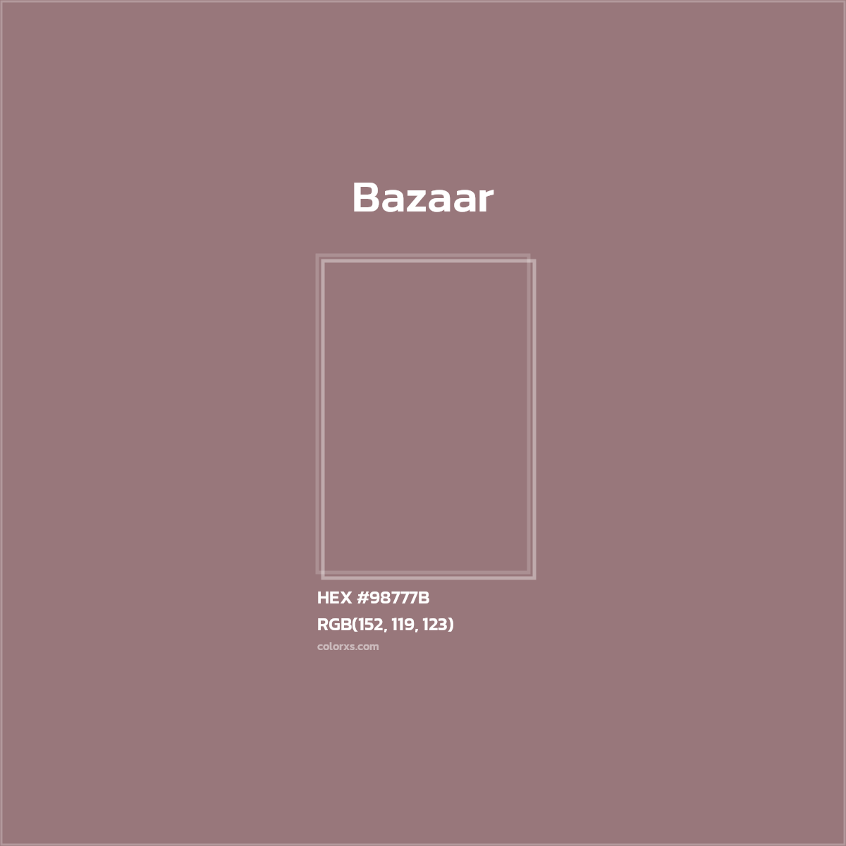 #98777B Bazaar Other  - Color codes and meaning | Matching colors and paints