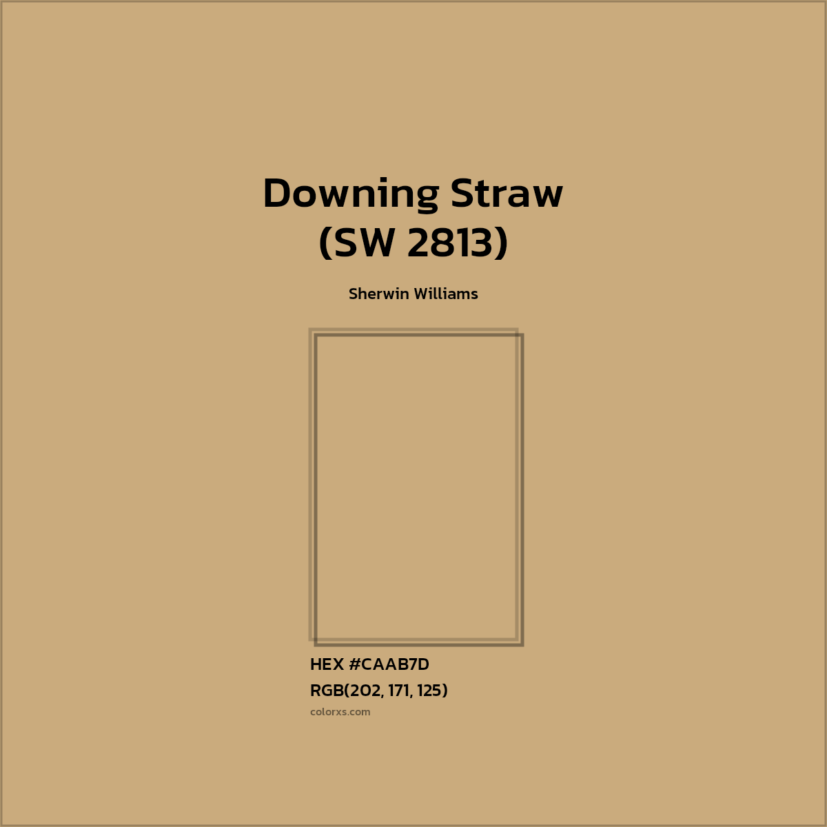 #CAAB7D Downing Straw (SW 2813) Paint Sherwin Williams - Color codes and meaning | Matching colors and paints