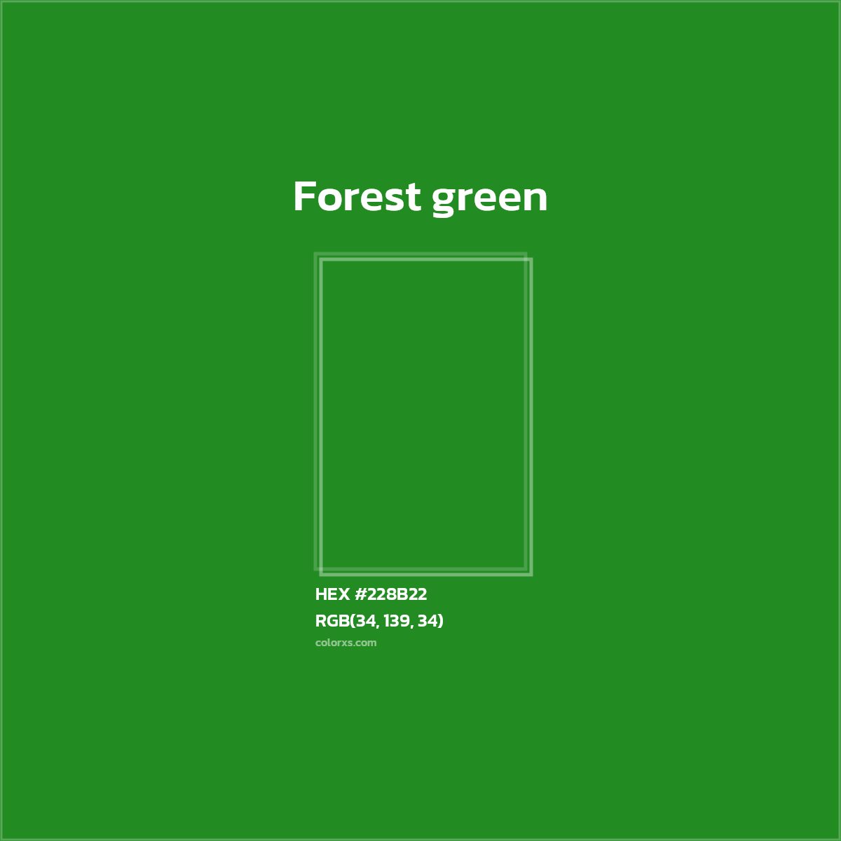 #228B22 Forest green Color  - Color codes and meaning | Matching colors and paints