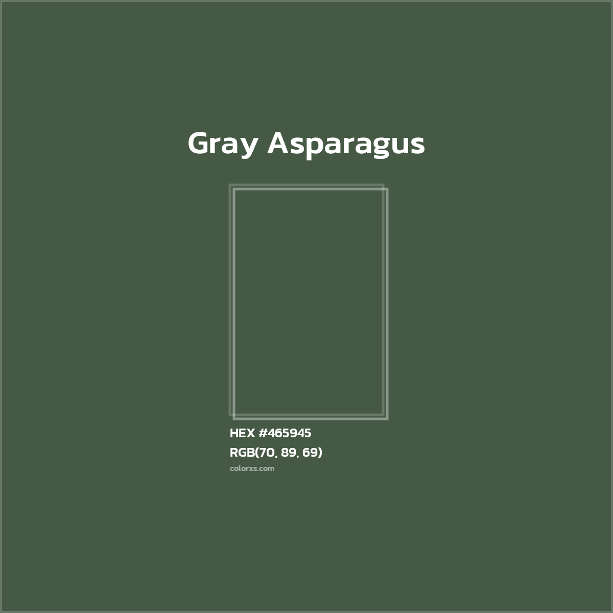 #465945 Gray Asparagus Color  - Color codes and meaning | Matching colors and paints