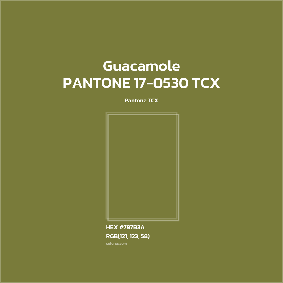 #797B3B PANTONE 17-0530 TCX - Guacamole CMS Pantone TCX - Color codes and meaning | Matching colors and paints