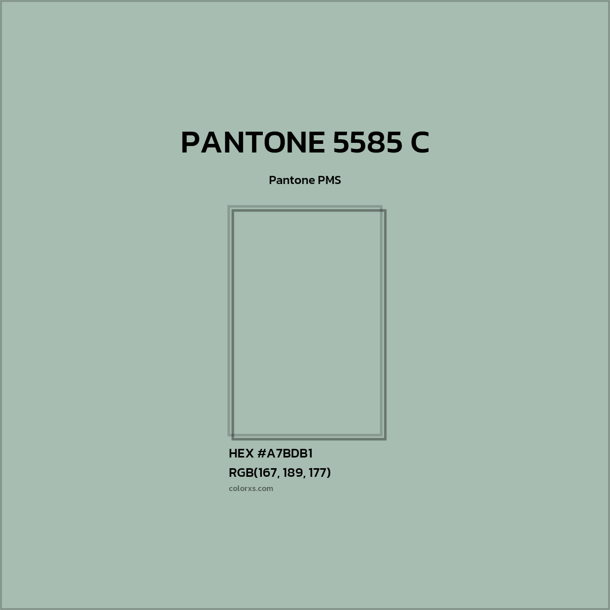 #A7BDB1 PANTONE 5585 C CMS Pantone PMS - Color codes and meaning | Matching colors and paints