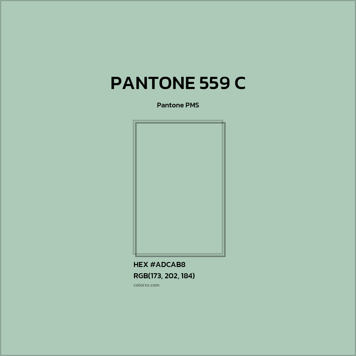 #ADCAB8 PANTONE 559 C CMS Pantone PMS - Color codes and meaning | Matching colors and paints